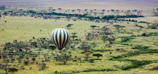 Safaris to Africa