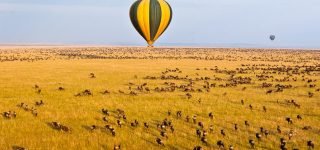 Balloon Safaris in Masai Mara