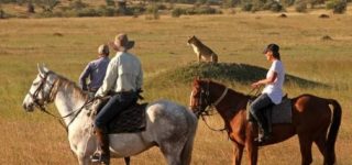 Horseback Safaris in Masai Mara