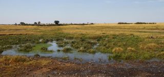 Lemek Conservancy