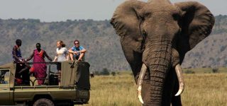 Mara North Conservancy