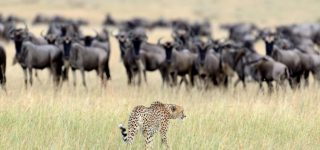 Attractive places in Narok County