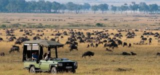 What Are The Interesting Facts About Maasai Mara?