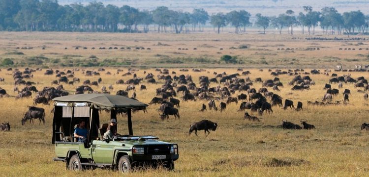 What Are The Interesting Facts About Maasai Mara?