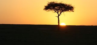 Safari clothing (what to wear)