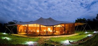 Porini Lion Camp