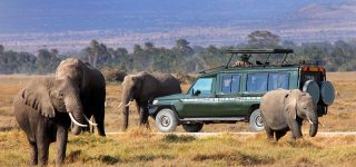 4 days Budget Maasai Mara safari
