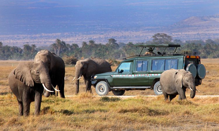 4 days Budget Maasai Mara safari