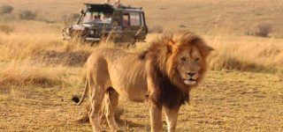 How to get to Masai mara