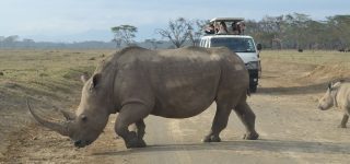 5 days Budget Maasai Mara Safari