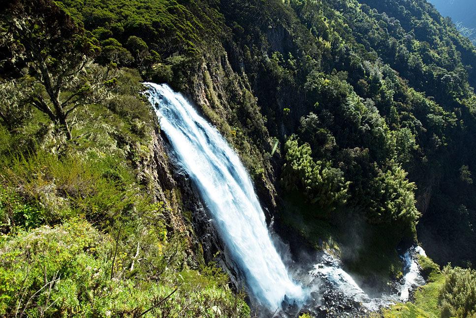 Attractions of Aberdare National Park Kenya Safaris Kenya