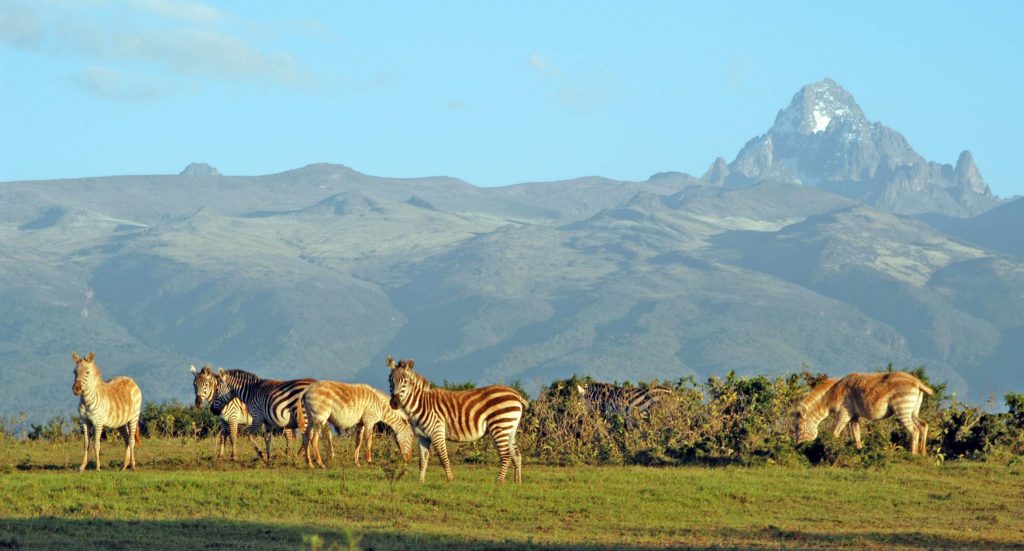 Mount Kenya National Park | Maasai Mara National Reserve