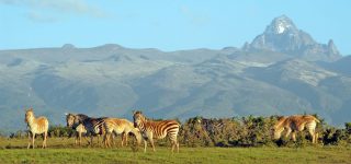 Mount Kenya National Park