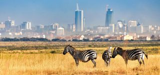 Major Reasons for Visiting Nairobi