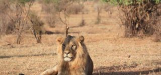 Samburu National Reserve