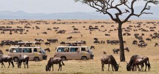 What is Maasai Mara famous for?