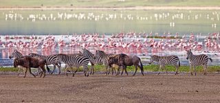 Lake Manyara National Park
