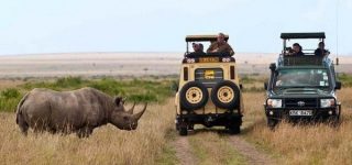 Best time for a visit to Masai Mara National Reserve