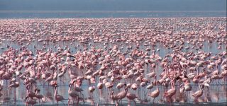 Beyond Masai Mara National Reserve