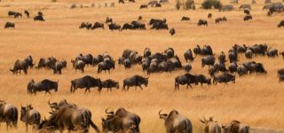 Lemek Conservancy