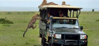 Masai Mara National Reserve Activities