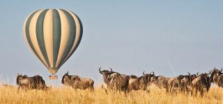 Hot Air Balloon Safari in Masai Mara