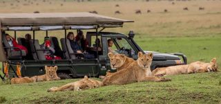 Malaria in Masai Mara national reserve
