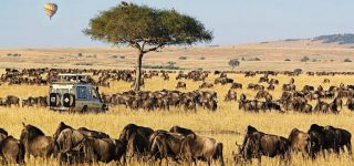 Masai Mara National Reserve Safaris