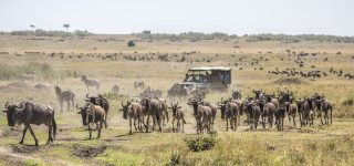 Weather in Masai Mara National Reserve