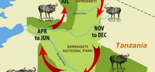 Map Of Masai Mara National Reserve