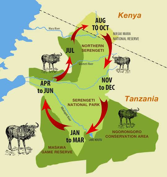 Map Of Masai Mara National Reserve