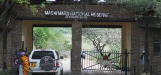 Prices to enter Masai Mara National Park