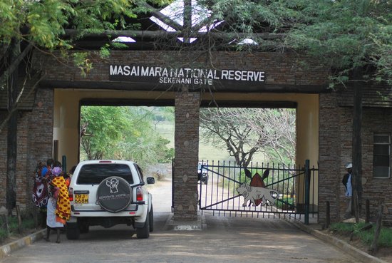 Prices to enter Masai Mara National Park