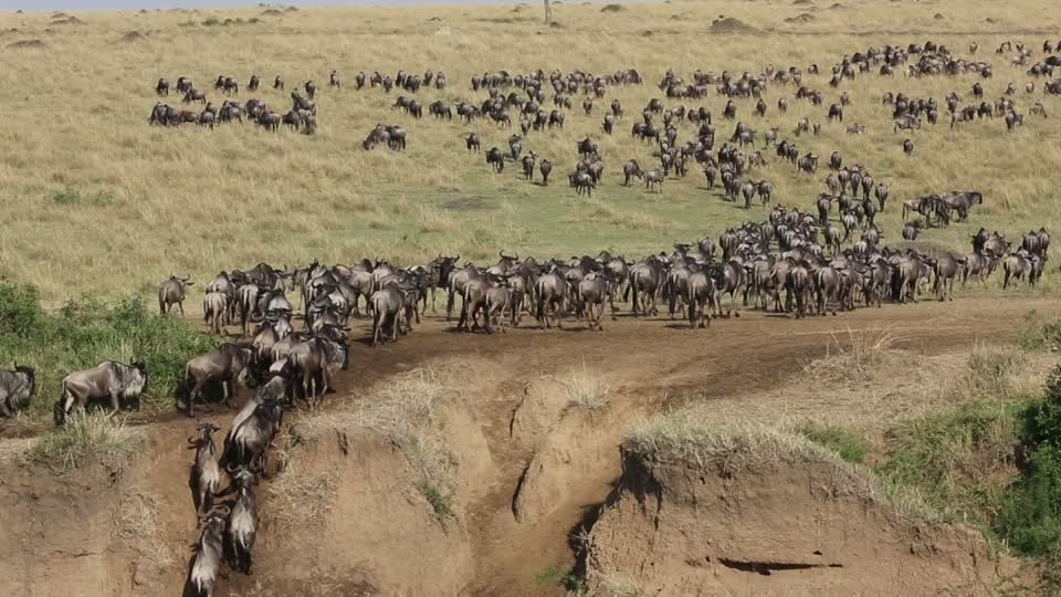 Location of Masai Mara National Park