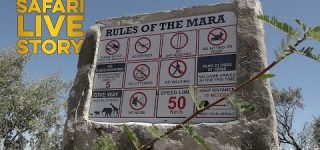 Masai Mara National Reserve Rules