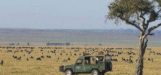 How to avoid crowds at Masai Mara national reserve 