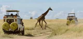 How to avoid crowds at Masai Mara national reserve 