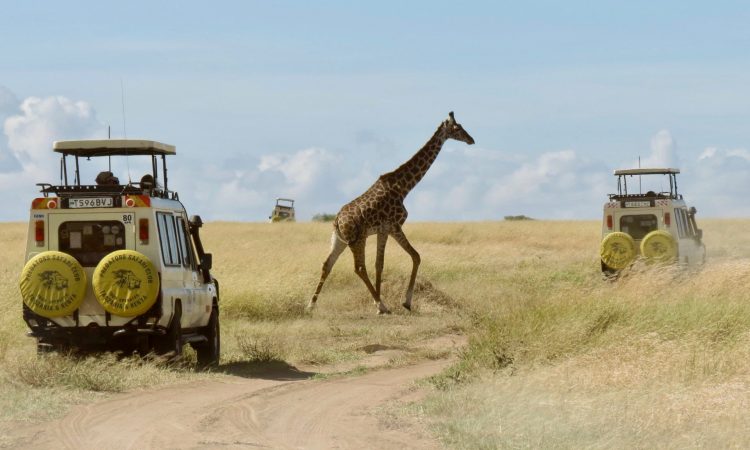 How to avoid crowds at Masai Mara national reserve 