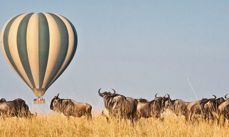5 Days Masai Mara Wildlife safari