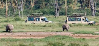 Kenya reduces park entry fees by 50%