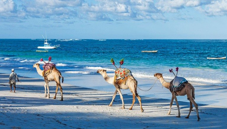 8 Most Beautiful Beaches in Kenya