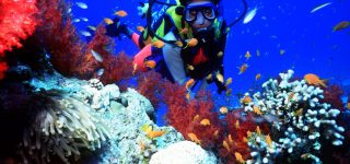 Marine parks in Kenya