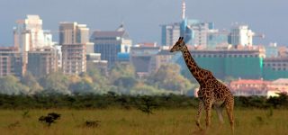 11 Top Rated Tourist Attractions in Nairobi City