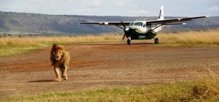 4 Days Masai Mara fly-in safari