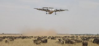 4 Days fly-in Masai Mara safari
