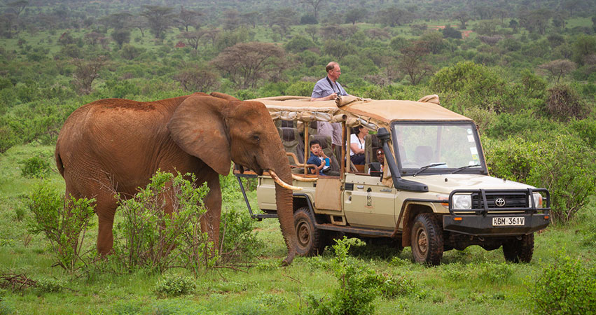 Safari Game drives in Samburu national reserve