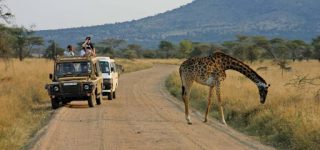 7 Days Tanzania Classic Safari