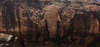 Rock Art in Kenya