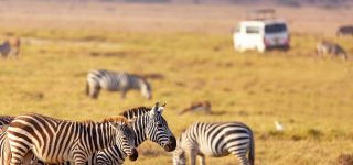 7 days Kenya Wildlife & Cultural safari
