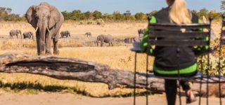 6 Days Tanzania Kenya Wildlife safari